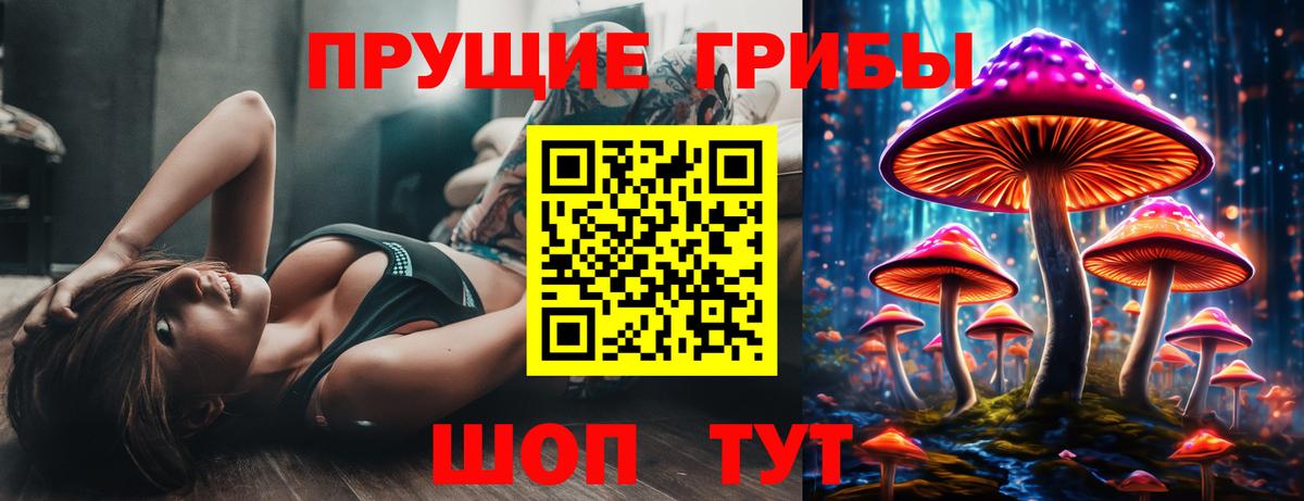 Галлюциногенные грибы GOLDEN TEACHER  Галлюциногенные грибы ЛСД  Стерлитамак  Вход с VPN 
